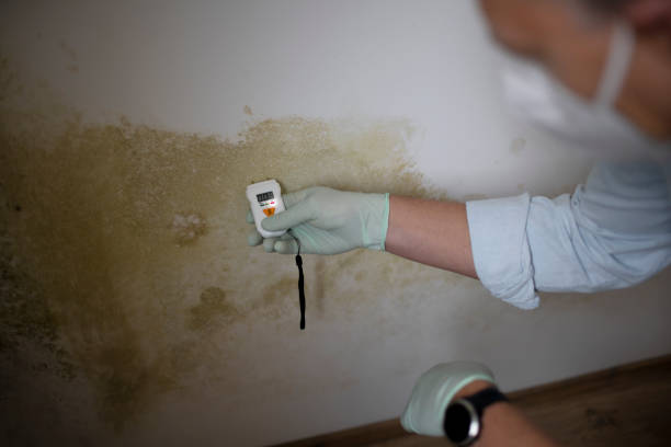 Water Damage Restoration in Fords, NJ