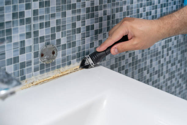  Fords, NJ Mold Removal Pros