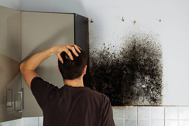 Best Black Mold Removal  in Fords, NJ